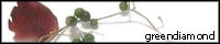  greendiamond�^⨁@�^�Ηl